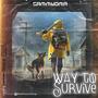 Way To Survive (Explicit)