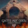 GATES ARE OPEN (feat. BLKDRVGON) [EDIT]