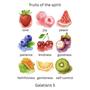 fruits of the spirit