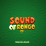 SOUND OF BONGO