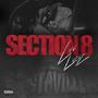 SECTION 8 (Explicit)