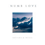 Numb Love
