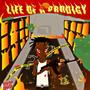 LIF3 OF A PRODIGY (Explicit)