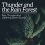 Thunder and the Rain Forest