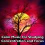 Calm Music for Studying, Concentration and Focus