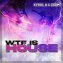 WTF is House (Explicit)