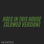 hoes in this house (slowed version)