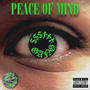 PEACE OF MIND (Explicit)