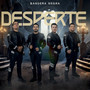 Desperté