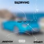 Swerving (Explicit)