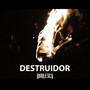 Destruidor