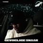 Gevoelige Snaar EP (Explicit)