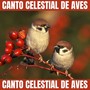 Canto Celestial de Aves