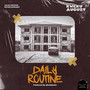 Daily Routine (Explicit)