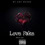 Love Fake (Explicit)