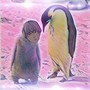 Pngn (Explicit)