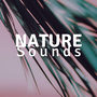 Nature Sounds HD - Relaxing Music for Sleeping