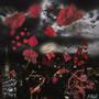 Butterflies With A Halo (Radio Edit) [Explicit]