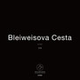 Bleiweisova Cesta