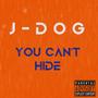 You Can't Hide! (Explicit)