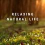 Relaxing Natural Life