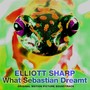 What Sebastian Dreamt (Original Motion Picture Soundtrack)