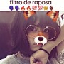 filtro de raposa (Explicit)