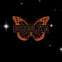 Borboleta