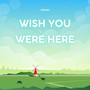 Wish you were here