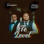 Te Level
