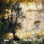 Pelguzar