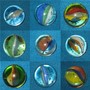 Marbles