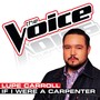 If I Were a Carpenter (The Voice Performance)