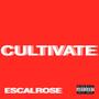 Cultivate (Explicit)