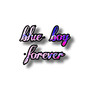 BLUE BOY FOREVER (Explicit)