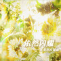 《依然闪耀》—张奕然应援曲