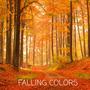 Falling Colors