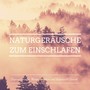 Naturgeräusche zum einschlafen: Regengeräusche, Meeresrauschen und Regenwald Sound