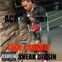 Sneak dissin (Explicit)