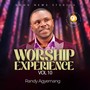 WORSHIP EXPERIENCE, VOL. 10
