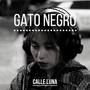 Gato Negro