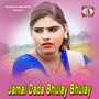 Jamai Dada Bhulay Bhulay