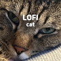 LOFI cat