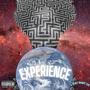 Experience