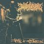 Days Of Decimation (Explicit)