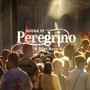 Peregrino