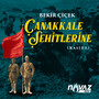 Çanakkale Şehitlerine (Kaside)