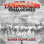 Tamborazos Sinaloenses