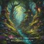 Journey through the Woods