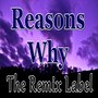 Reasons Why (Vibrant Proghouse Music Mix)